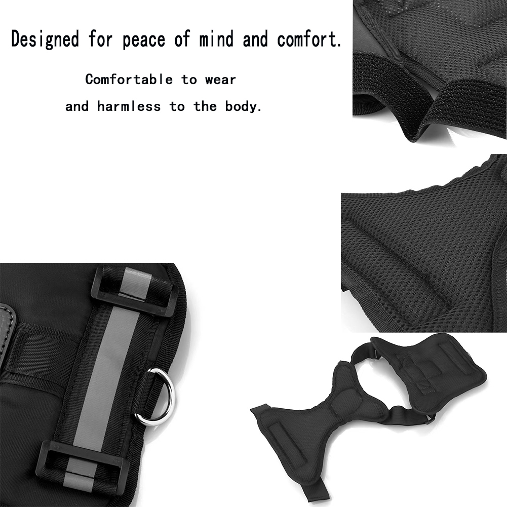 Supporto per Fotocamera da Pet - Drone Camera Action recensione e prezzo